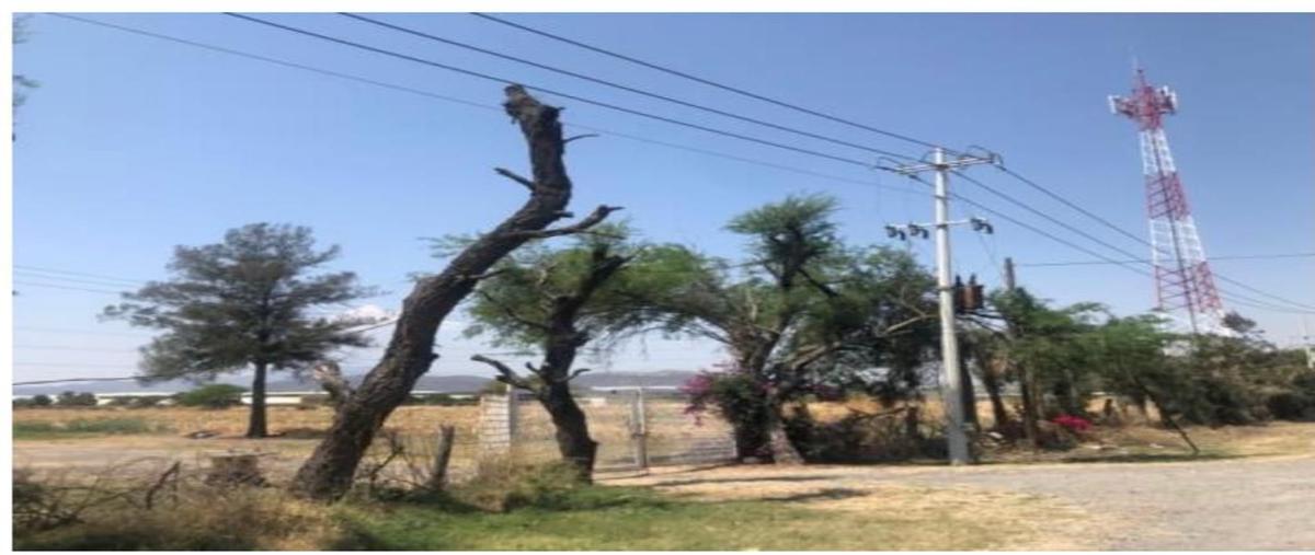 Foto de terreno comercial en venta en carretera chapala kilometro 2.5 2.5, la capilla del refugio, ixtlahuacán de los membrillos, jalisco, 25468508 No. 03