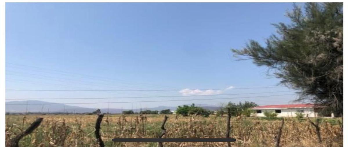 Foto de terreno comercial en venta en carretera chapala kilometro 2.5 2.5, la capilla del refugio, ixtlahuacán de los membrillos, jalisco, 25468508 No. 05