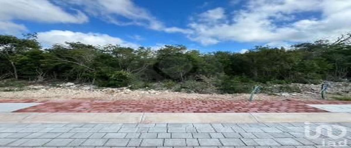 Foto de terreno habitacional en venta en carretera chelem - chuburná 31980, chuburna puerto, progreso, yucatán, 30622825 No. 03