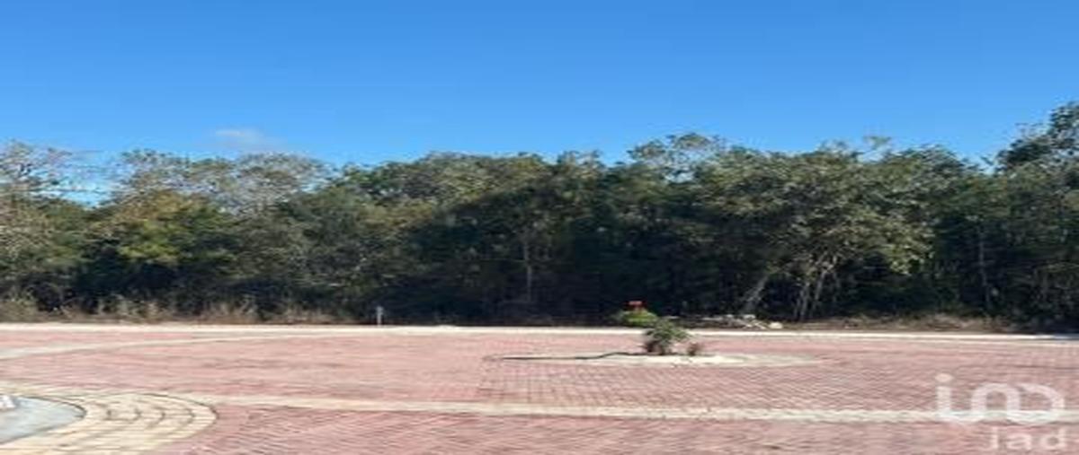 Foto de terreno habitacional en venta en carretera chelem - chuburná 31980, chuburna puerto, progreso, yucatán, 30622825 No. 04
