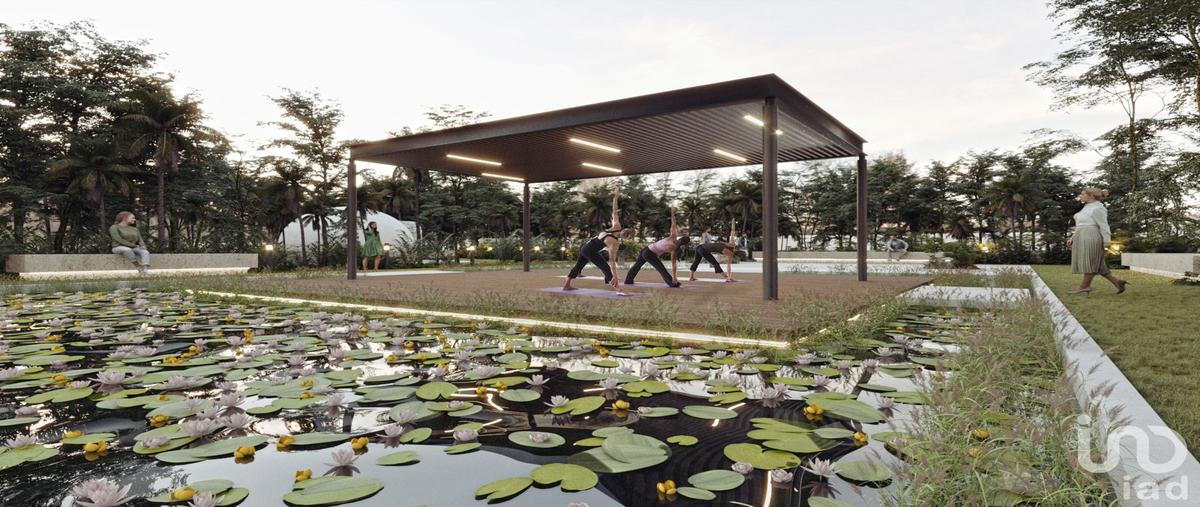 Foto de terreno habitacional en venta en carretera chetumal -cancun , puerto morelos, puerto morelos, quintana roo, 29078453 No. 04