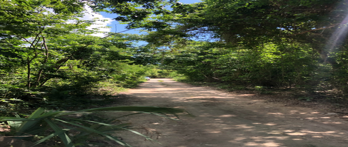 Foto de terreno habitacional en carretera chetúmal puerto juárez kilómetro 282 , playa del carmen, solidaridad, quintana roo, 28583749 foto 03 Foto de terreno habitacional en venta en carretera chetúmal puerto juárez kilómetro 282 , playa del carmen, solidaridad, quintana roo, 28583749 No. 03