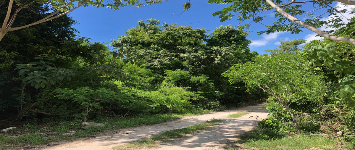 Foto de terreno habitacional en carretera chetúmal puerto juárez kilómetro 282 , playa del carmen, solidaridad, quintana roo, 28583749 foto 05 Foto de terreno habitacional en venta en carretera chetúmal puerto juárez kilómetro 282 , playa del carmen, solidaridad, quintana roo, 28583749 No. 05