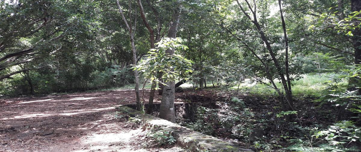 Foto de terreno comercial en venta en carretera chiapa - acala kilometro 8.5 , nandambua 1a sección, chiapa de corzo, chiapas, 18135271 No. 03