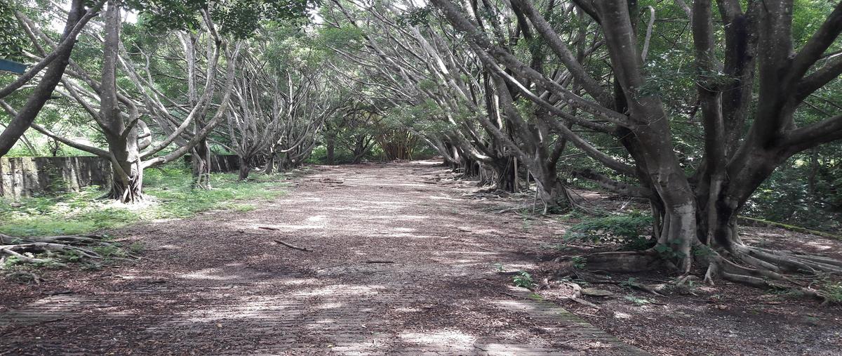 Foto de terreno comercial en venta en carretera chiapa - acala kilometro 8.5 , nandambua 1a sección, chiapa de corzo, chiapas, 18135271 No. 05
