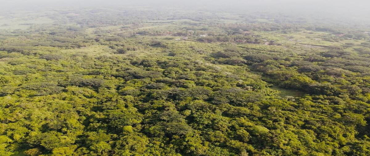 Foto de terreno habitacional en carretera chiapa el naranjal , el chivato (providencia), villa de álvarez, colima, 0 foto 05 Foto de terreno habitacional en venta en carretera chiapa el naranjal , el chivato (providencia), villa de álvarez, colima, 0 No. 05