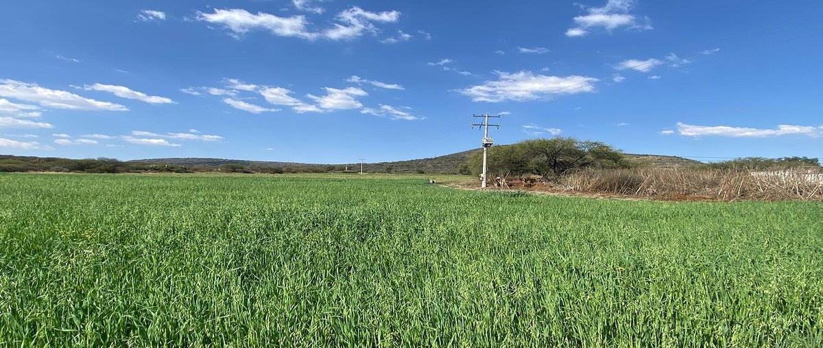 Foto de rancho en venta en carretera chichimequillas - la griegakm 4número exterior 5. , el lobo, el marqués, querétaro, 0 No. 04