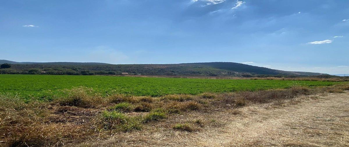 Foto de rancho en venta en carretera chichimequillas - la griegakm 4número exterior 5. , el lobo, el marqués, querétaro, 0 No. 07