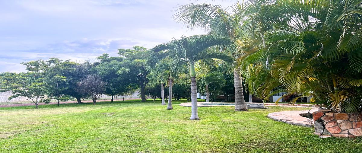 Foto de terreno habitacional en venta en carretera chiconcuac tetecalita , tetecalita, emiliano zapata, morelos, 29794836 No. 03
