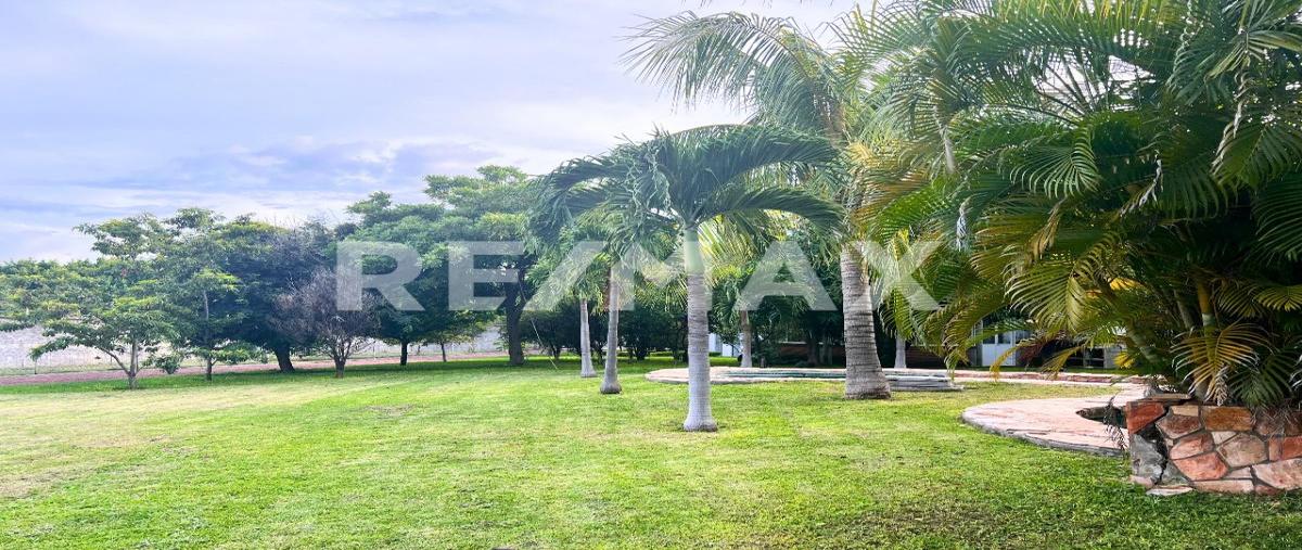 Foto de terreno habitacional en venta en carretera chiconcuac tetecalita , tetecalita, emiliano zapata, morelos, 0 No. 03