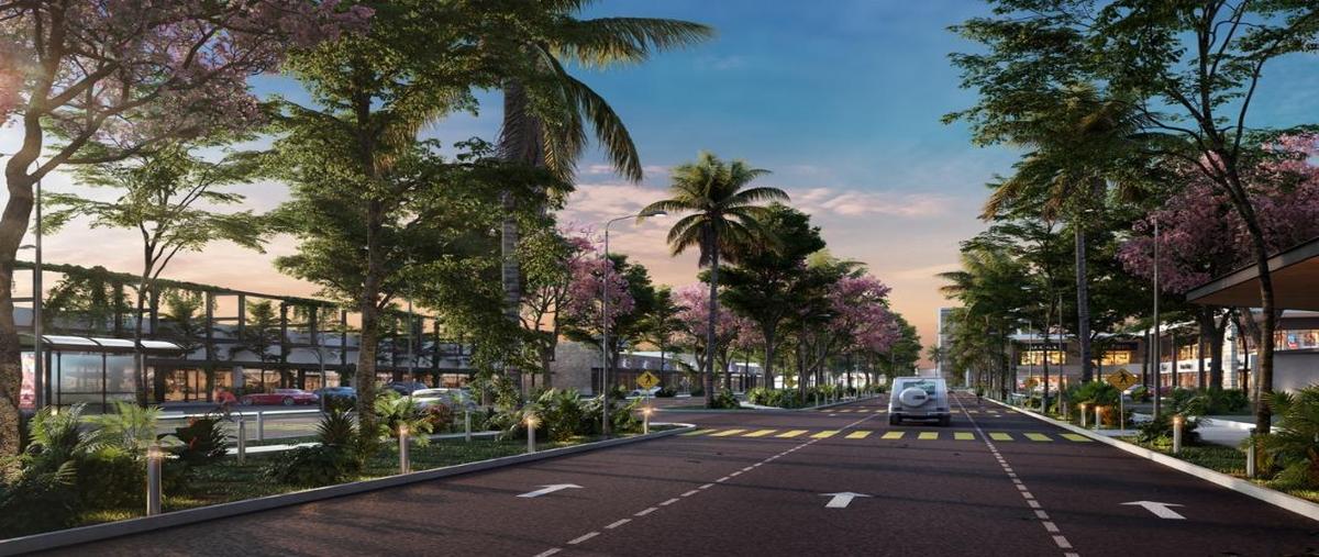 Foto de terreno habitacional en venta en carretera chicxulub 4, chicxulub puerto, progreso, yucatán, 25755955 No. 05