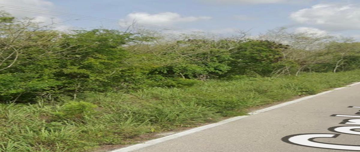 Foto de terreno habitacional en venta en carretera chicxulub , chicxulub, chicxulub pueblo, yucatán, 0 No. 05