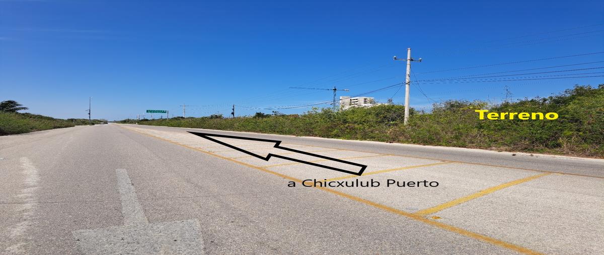 Foto de terreno habitacional en carretera chicxulub puerto-telchac puerto. , dzemul, dzemul, yucatán, 27764366 foto 04 Foto de terreno habitacional en venta en carretera chicxulub puerto-telchac puerto. , dzemul, dzemul, yucatán, 27764366 No. 04