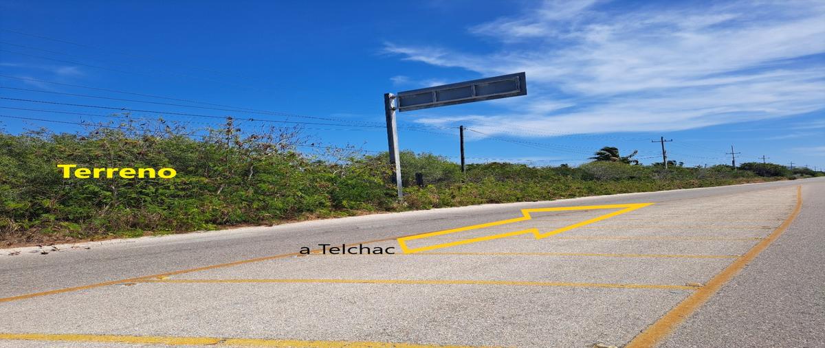 Foto de terreno habitacional en carretera chicxulub puerto-telchac puerto. , dzemul, dzemul, yucatán, 27764366 foto 05 Foto de terreno habitacional en venta en carretera chicxulub puerto-telchac puerto. , dzemul, dzemul, yucatán, 27764366 No. 05