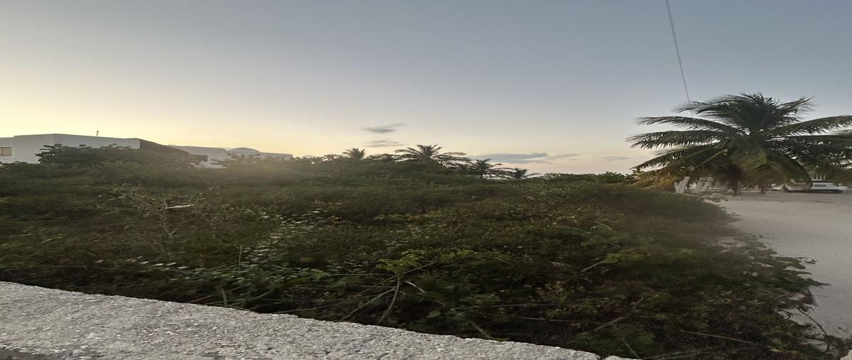 Foto de terreno habitacional en venta en carretera chicxulub-progreso , san diego, dzemul, yucatán, 0 No. 03