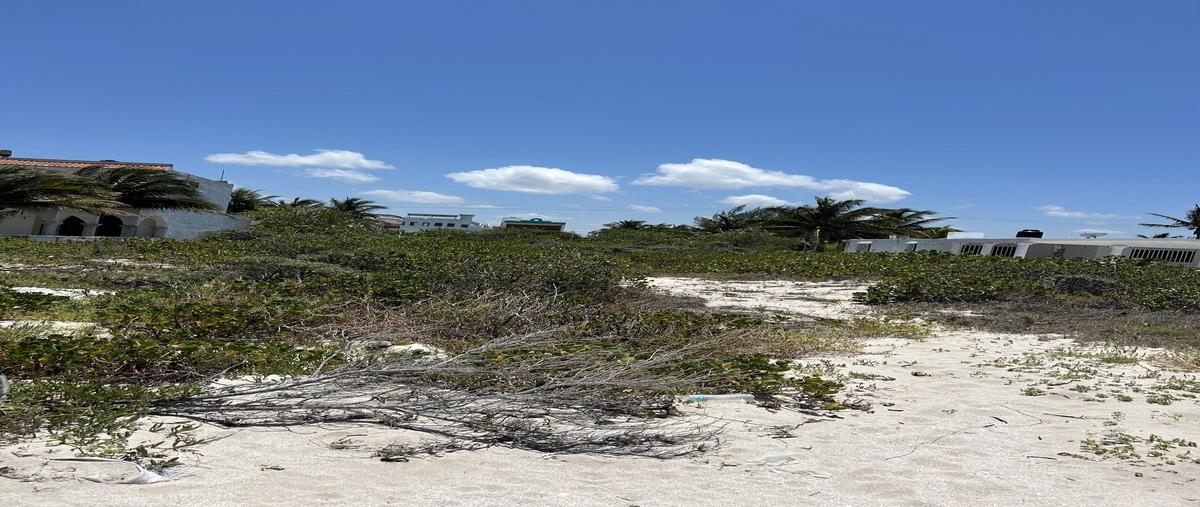 Foto de terreno habitacional en venta en carretera chicxulub-progreso , san diego, dzemul, yucatán, 0 No. 04