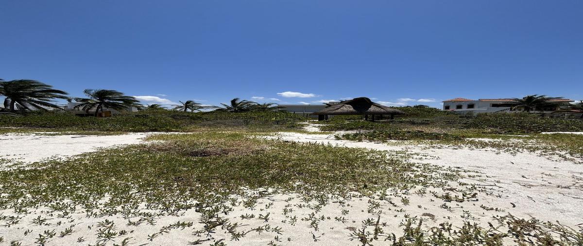 Foto de terreno habitacional en venta en carretera chicxulub-progreso , san diego, dzemul, yucatán, 0 No. 05