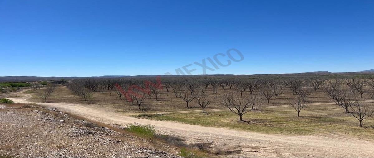 Foto de terreno habitacional en venta en carretera chihuahua a ojinaga 1, coyame, coyame del sotol, chihuahua, 31029394 No. 03