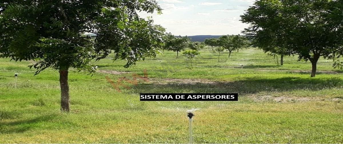 Foto de terreno habitacional en venta en carretera chihuahua a ojinaga 1, coyame, coyame del sotol, chihuahua, 31029394 No. 05