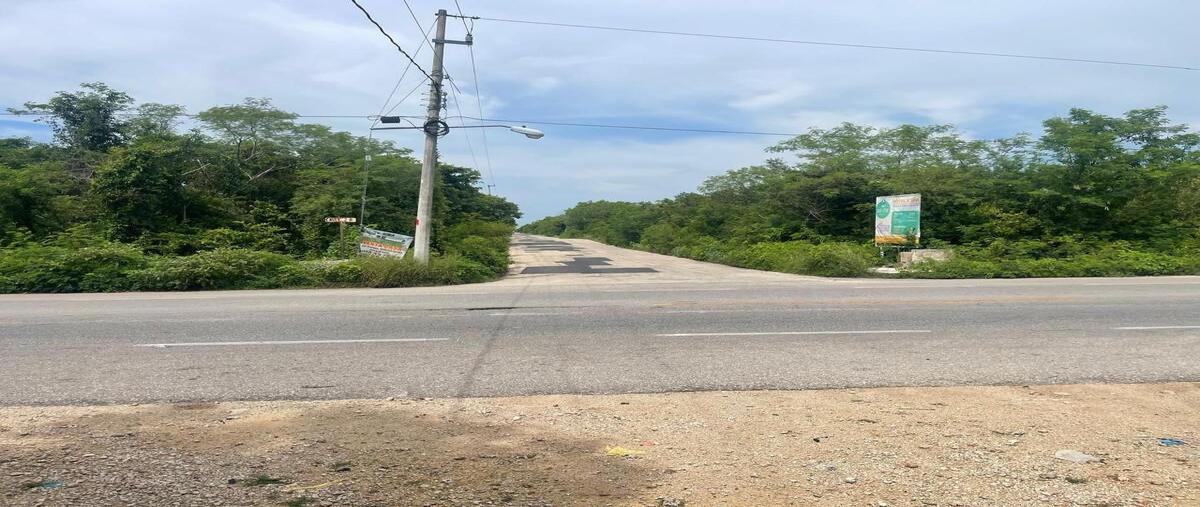 Foto de terreno habitacional en carretera chixchulub , conkal, conkal, yucatán, 0 foto 02 Foto de terreno habitacional en venta en carretera chixchulub , conkal, conkal, yucatán, 0 No. 02