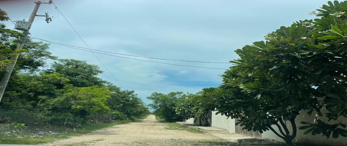 Foto de terreno habitacional en carretera chixchulub , conkal, conkal, yucatán, 0 foto 04 Foto de terreno habitacional en venta en carretera chixchulub , conkal, conkal, yucatán, 0 No. 04