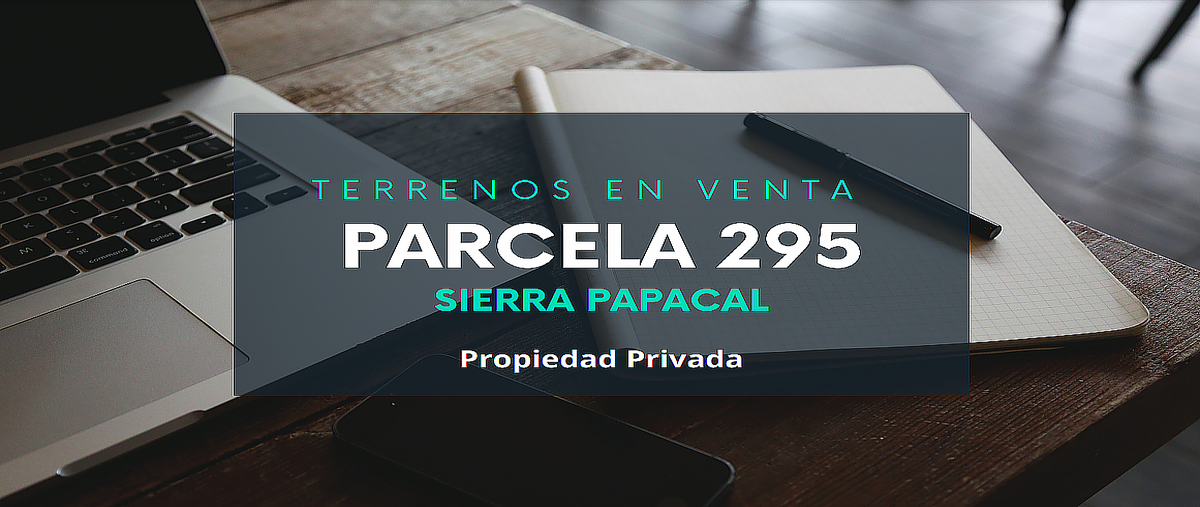 Foto de terreno habitacional en venta en carretera chixchulub , sierra papacal, mérida, yucatán, 0 No. 06