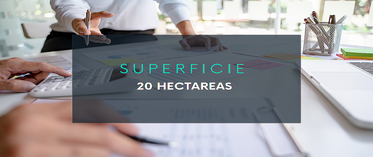 Foto de terreno habitacional en venta en carretera chixchulub , sierra papacal, mérida, yucatán, 0 No. 07