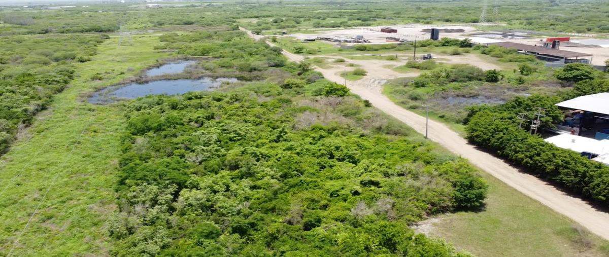 Foto de terreno industrial en carretera chocolate , villas de altamira, altamira, tamaulipas, 28407479 foto 02 Foto de terreno industrial en venta en carretera chocolate , villas de altamira, altamira, tamaulipas, 28407479 No. 02