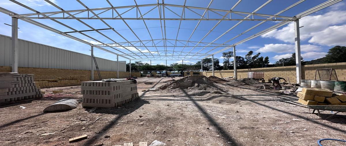 Foto de bodega en renta en carretera circuito metropolitano kilometro 15.3 , tala centro, tala, jalisco, 0 No. 03