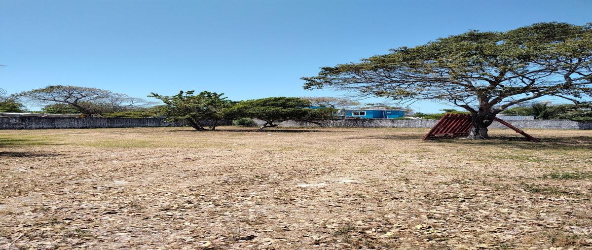 Foto de terreno habitacional en carretera ciudad del carmen champotón , isla aguada, carmen, campeche, 0 foto 01 Foto de terreno habitacional en venta en carretera ciudad del carmen champotón , isla aguada, carmen, campeche, 0 No. 01