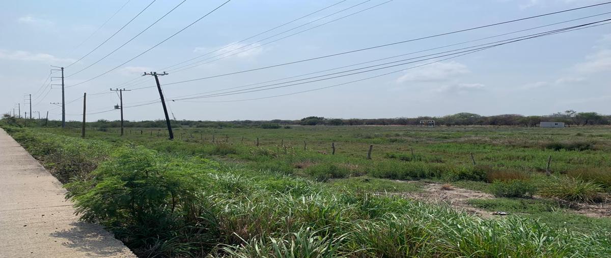 Foto de terreno industrial en carretera ciudad valles-tampico , adalberto tejeda, pueblo viejo, veracruz de ignacio de la llave, 25193932 foto 02 Foto de terreno industrial en venta en carretera ciudad valles-tampico , adalberto tejeda, pueblo viejo, veracruz de ignacio de la llave, 25193932 No. 02