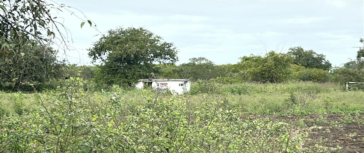 Foto de terreno habitacional en carretera ciudad valles-tampico , antonio j. bermúdez, pánuco, veracruz de ignacio de la llave, 29093426 foto 02 Foto de terreno habitacional en venta en carretera ciudad valles-tampico , antonio j. bermúdez, pánuco, veracruz de ignacio de la llave, 29093426 No. 02