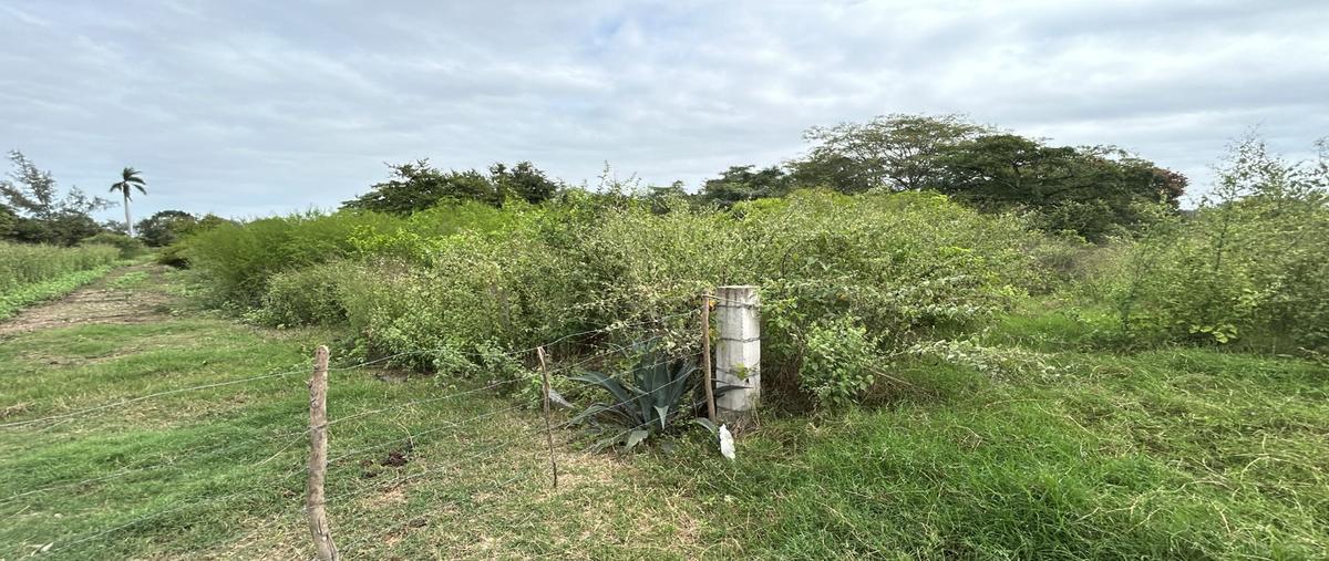 Foto de terreno habitacional en carretera ciudad valles-tampico , antonio j. bermúdez, pánuco, veracruz de ignacio de la llave, 29093426 foto 03 Foto de terreno habitacional en venta en carretera ciudad valles-tampico , antonio j. bermúdez, pánuco, veracruz de ignacio de la llave, 29093426 No. 03