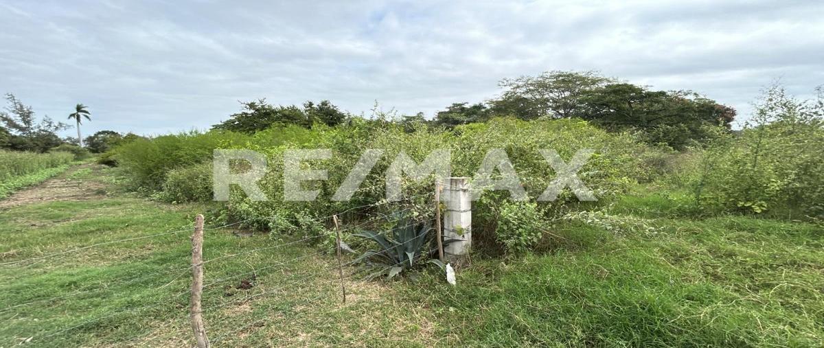 Foto de terreno habitacional en carretera ciudad valles-tampico , antonio j. bermúdez, pánuco, veracruz de ignacio de la llave, 0 foto 03 Foto de terreno habitacional en venta en carretera ciudad valles-tampico , antonio j. bermúdez, pánuco, veracruz de ignacio de la llave, 0 No. 03