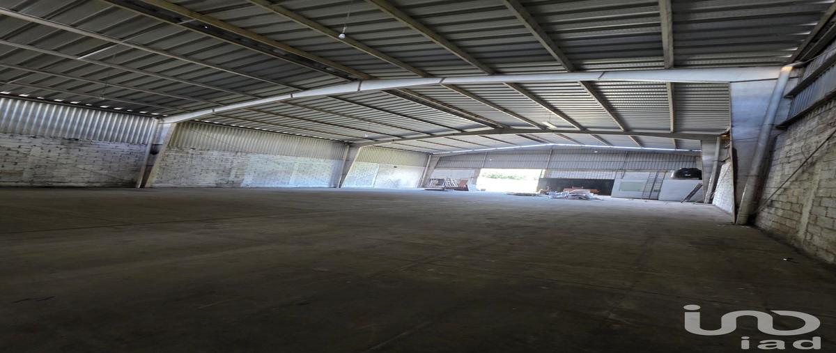 Foto de bodega en renta en carretera coatepec el grande , campo viejo, coatepec, veracruz de ignacio de la llave, 30385735 No. 05