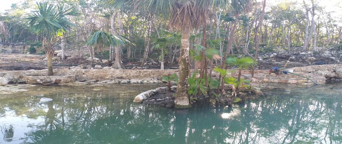 Foto de terreno habitacional en carretera coba , tumben kaa, tulum, quintana roo, 0 foto 03 Foto de terreno habitacional en venta en carretera coba , tumben kaa, tulum, quintana roo, 0 No. 03