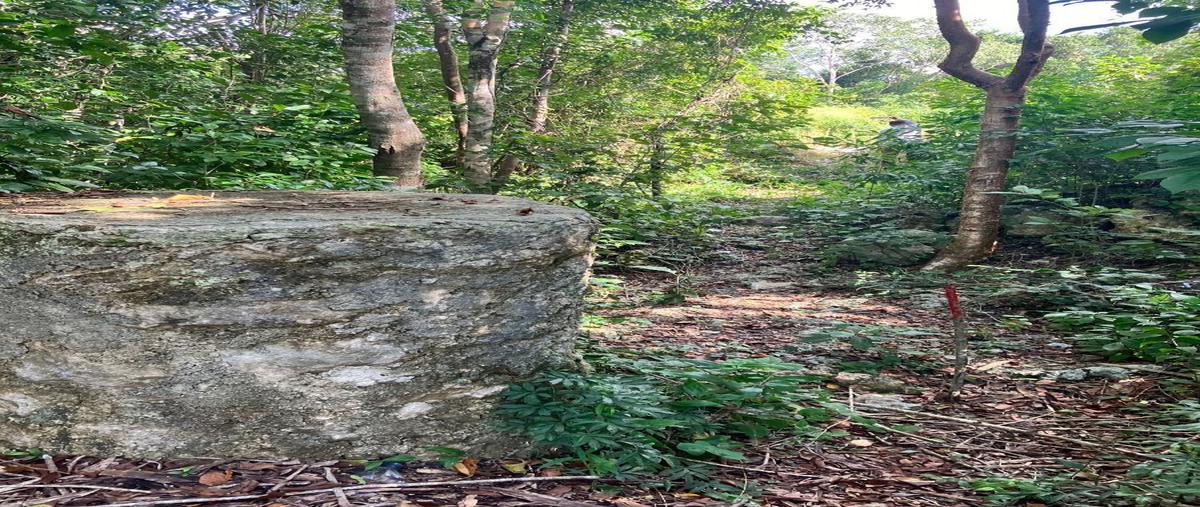 Foto de terreno habitacional en venta en carretera coba-tulum , manuel antonio ay, tulum, quintana roo, 28157140 No. 03