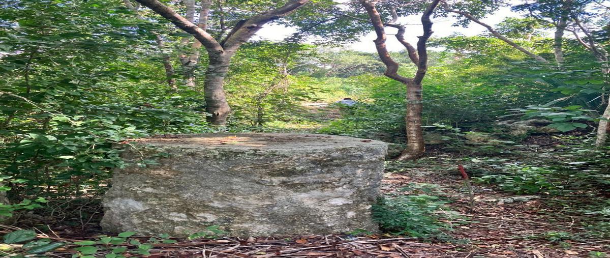 Foto de terreno habitacional en venta en carretera coba-tulum , manuel antonio ay, tulum, quintana roo, 28157140 No. 04