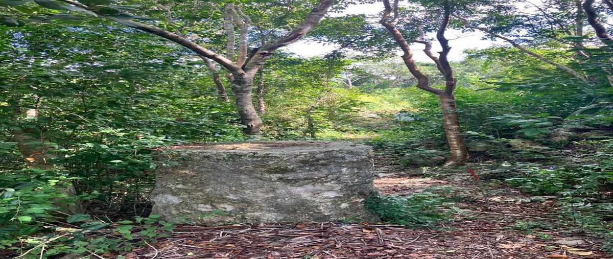 Foto de terreno habitacional en venta en carretera coba-tulum , manuel antonio ay, tulum, quintana roo, 28157140 No. 05