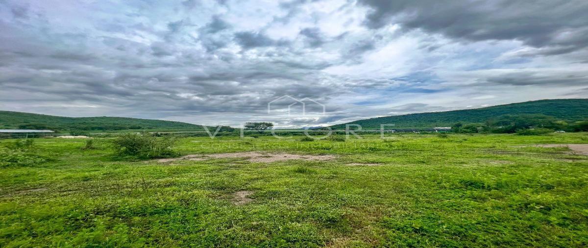 Foto de terreno habitacional en venta en carretera cocula kilometro 21 , villa corona centro, villa corona, jalisco, 26967562 No. 01