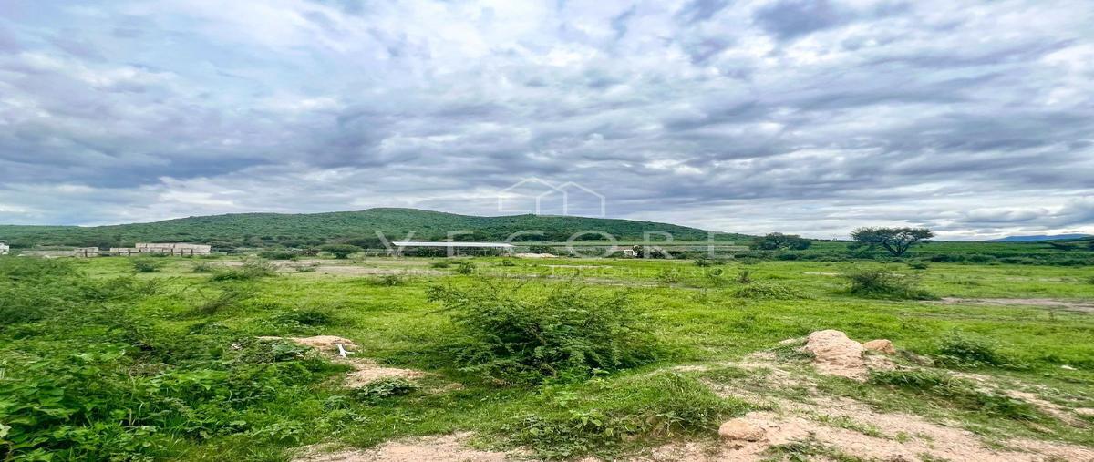 Foto de terreno habitacional en venta en carretera cocula kilometro 21 , villa corona centro, villa corona, jalisco, 26967562 No. 03