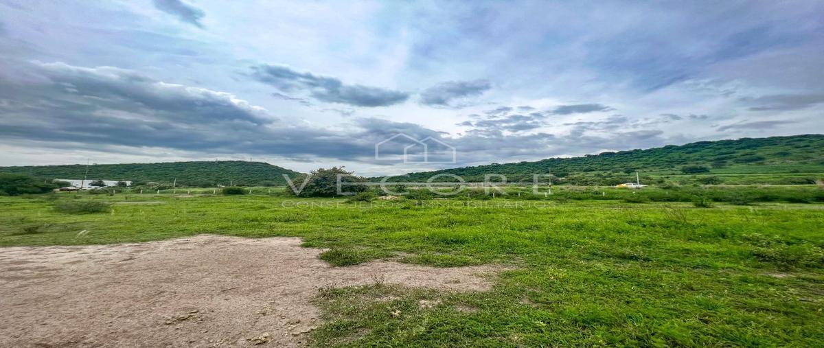 Foto de terreno habitacional en venta en carretera cocula kilometro 21 , villa corona centro, villa corona, jalisco, 26967562 No. 04