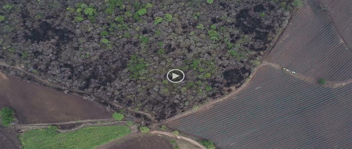 Foto de terreno comercial en venta en carretera cocula-villa corona , villa corona centro, villa corona, jalisco, 0 No. 05