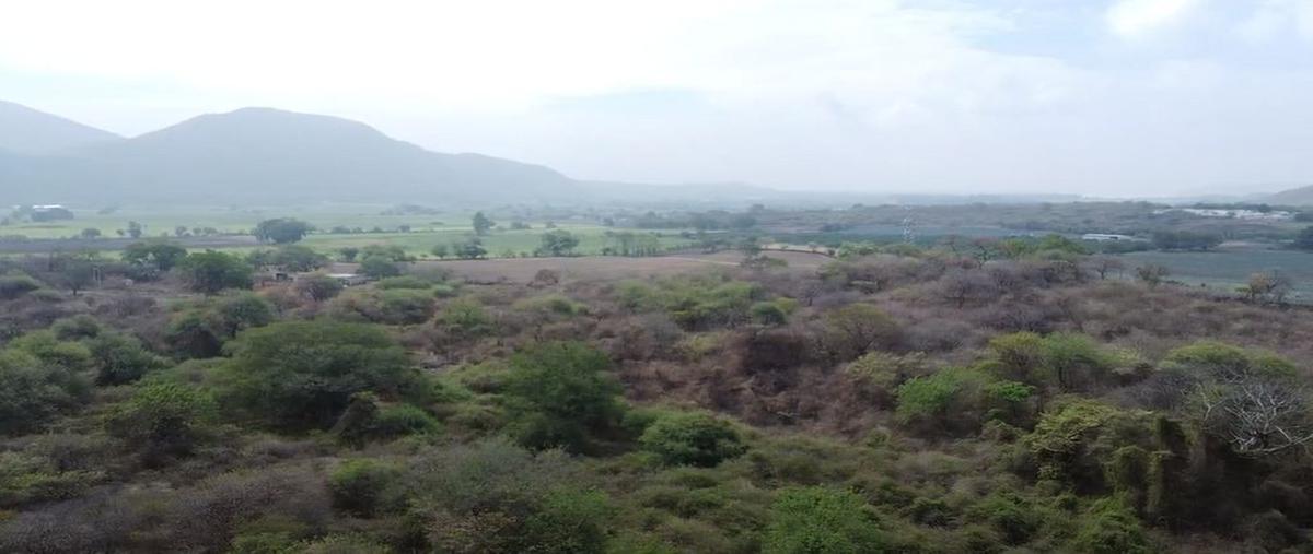 Foto de terreno comercial en venta en carretera cocula-villa corona , villa corona centro, villa corona, jalisco, 0 No. 03