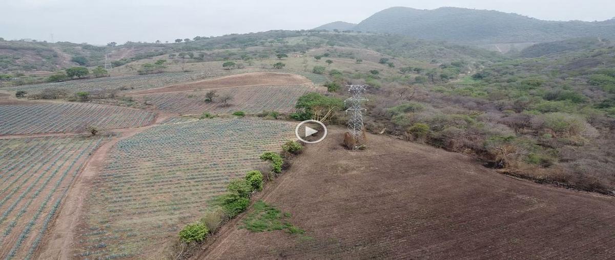 Foto de terreno comercial en venta en carretera cocula-villa corona , villa corona centro, villa corona, jalisco, 0 No. 04