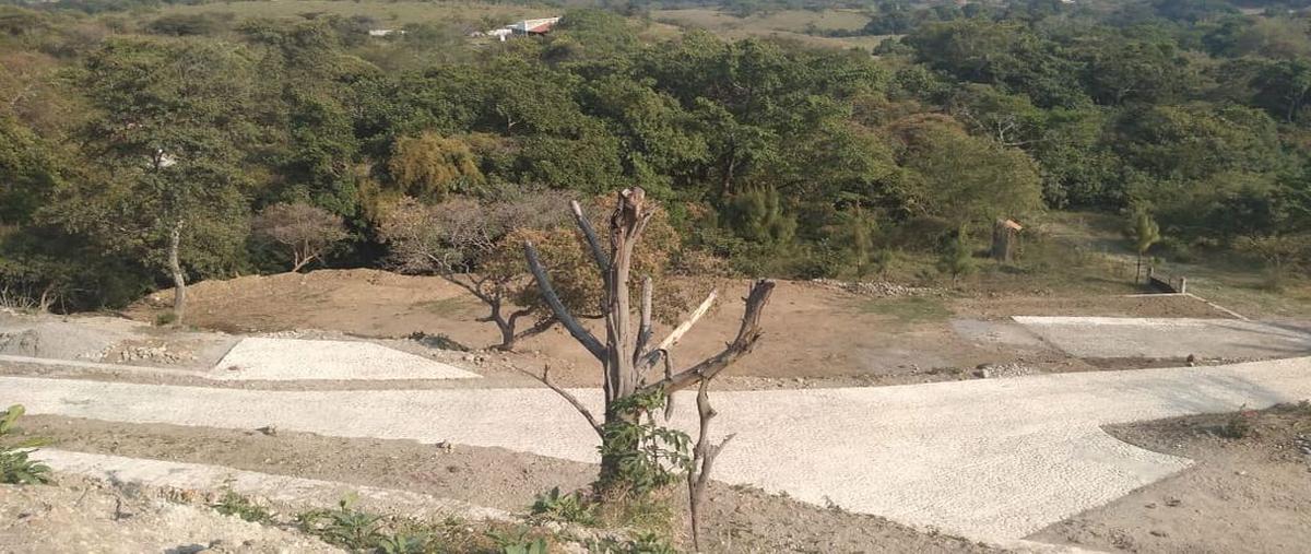 Foto de terreno habitacional en venta en carretera cofradia de suchitlan a colomos 0, cofradía de suchitlán, comala, colima, 0 No. 04