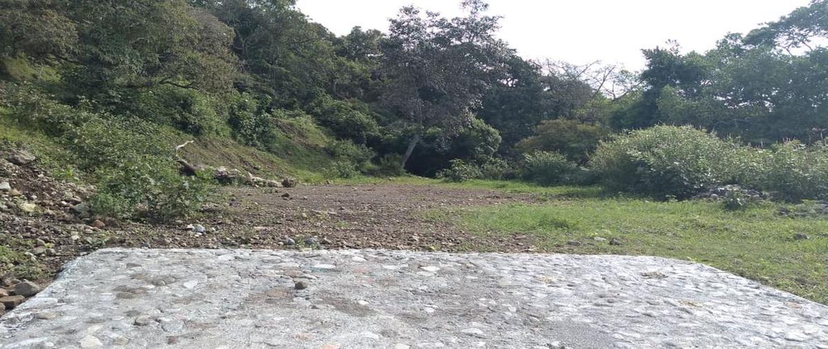 Foto de terreno habitacional en venta en carretera cofradia de suchitlan a colomos 0, cofradía de suchitlán, comala, colima, 0 No. 05