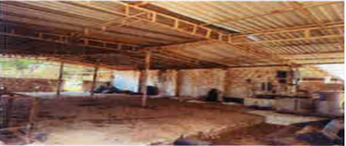 Foto de rancho en venta en carretera coita villa flores , ampliación san miguel, villaflores, chiapas, 0 No. 03