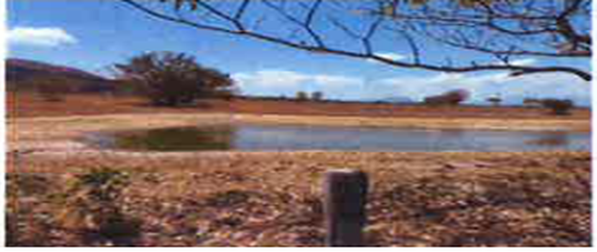 Foto de rancho en venta en carretera coita villa flores , ampliación san miguel, villaflores, chiapas, 0 No. 05