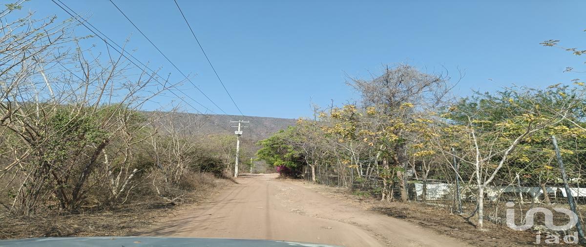 Foto de terreno industrial en venta en carretera colima-los asmoles kilometro 18.4, coordenadas georeferenciadas: norte 19Â648.90 oeste 103Â4716.40 , los asmoles, colima, colima, 31485704 No. 03